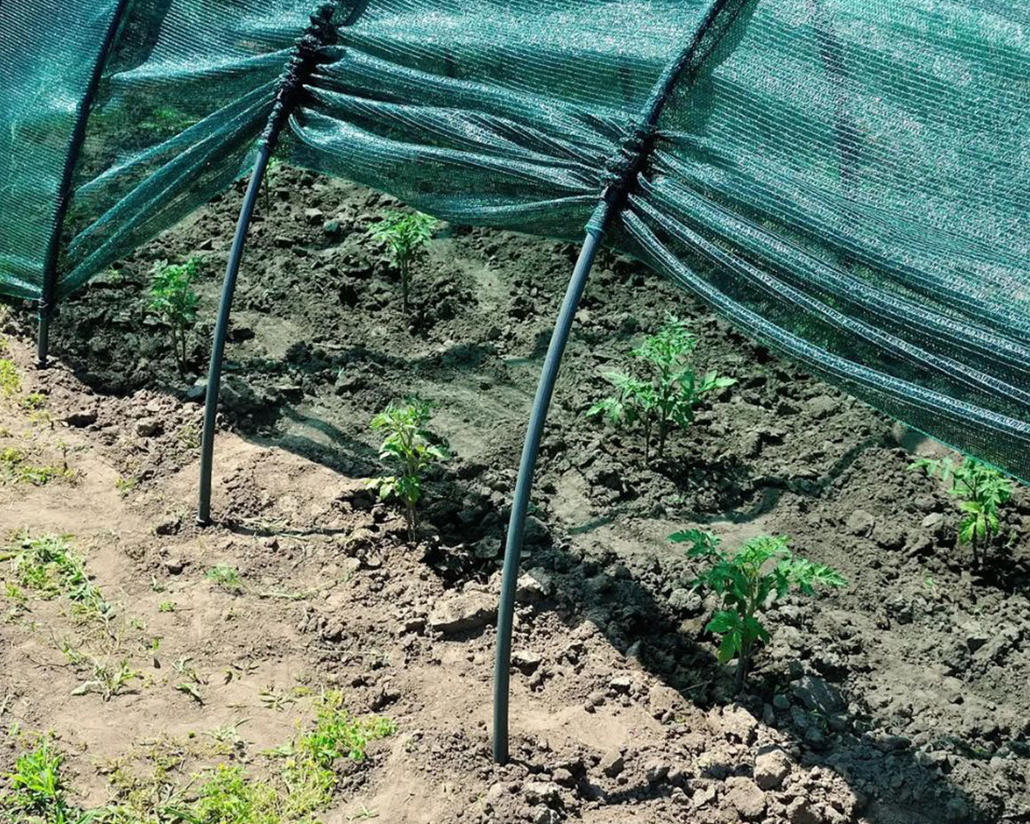 Gölgelik File – 95lik – 115 gr – Yeşil – Çit Filesi – Düz Kenar